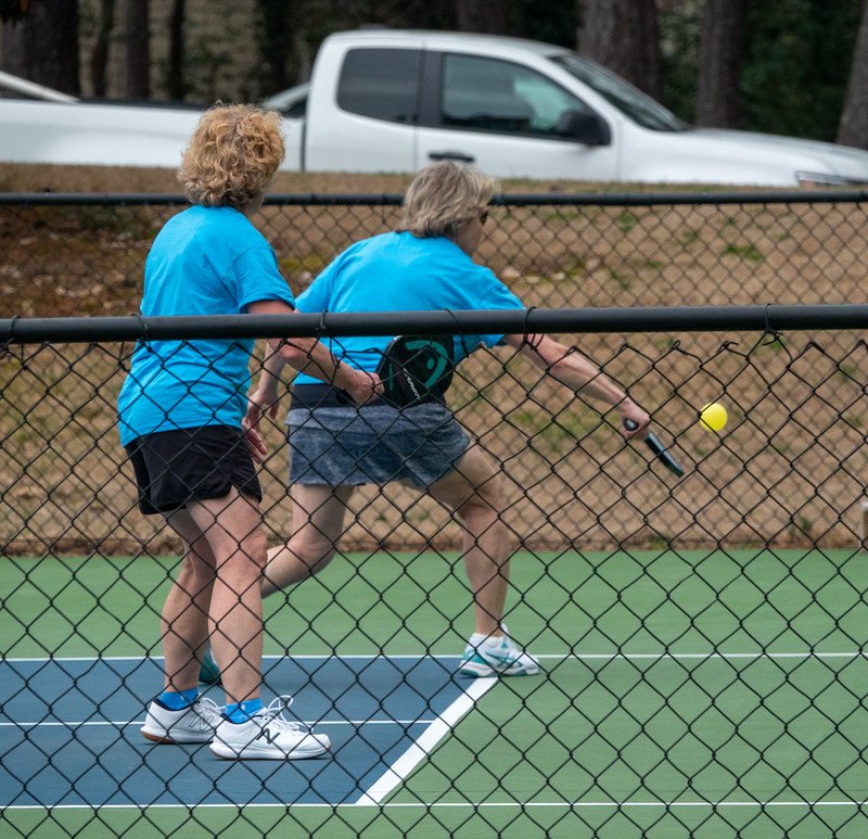 Pickleball Net