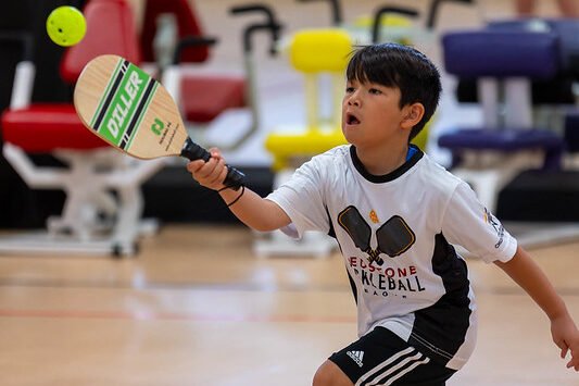 Pickleball Paddle