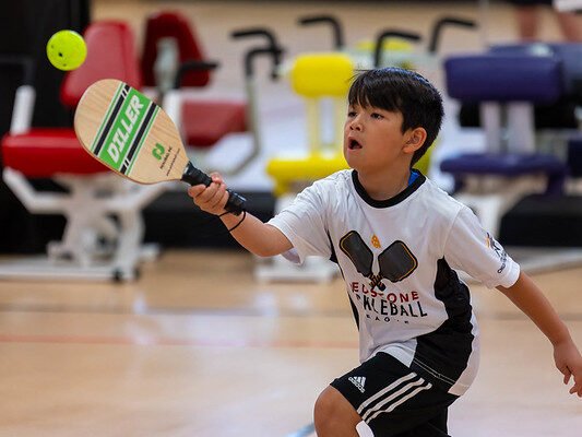 Pickleball Paddle